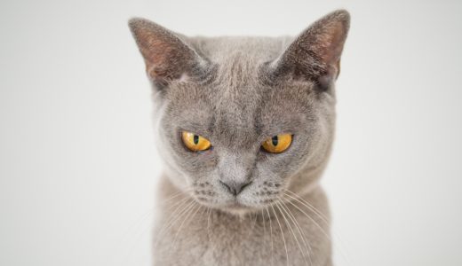 ぶっ殺したいと思える人が、結果的に自分を成長させている。